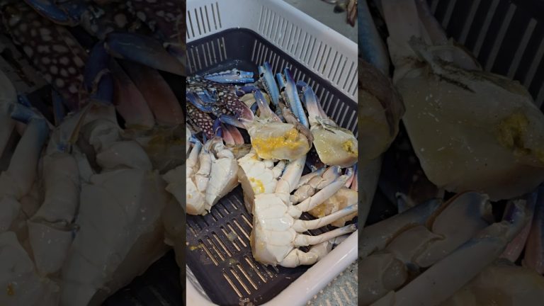 Blue crab cleaning #fishcuttin #fillet #seafood #food #seafoodrecipes