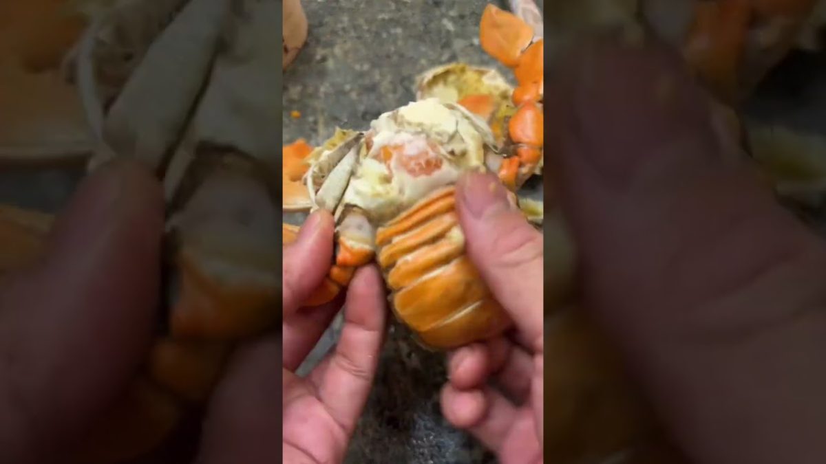 Crabs 🦀 #seafood #rivercrab #butcher #food #fish #recipe #crab #crabs #seafoodprep