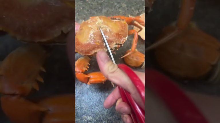 Crabs Art 🦀 #crabs #crab #seafood #rivercrab #butcher #fish #recipe #foodie #shrimp #lobster