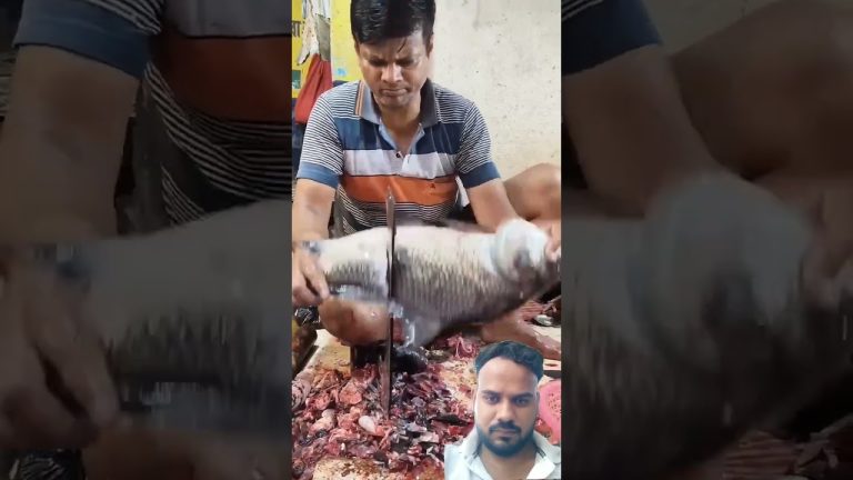 #fishcutting #fish #fishing #bigfish #food #fillet #seafood #fhiscurry #seafoodrecipes #vlog