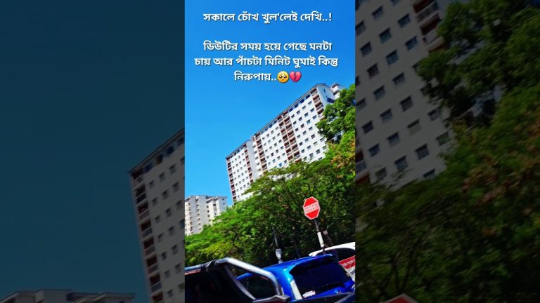 #explore #food #villagerlifestyle #seafood #streetfood #meatmarket #fish #subscribe #seafoodrecipes