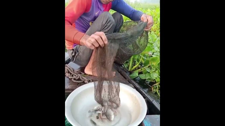 #whowillbemylifepartnerta #seafood #seafoodrecipes #fish