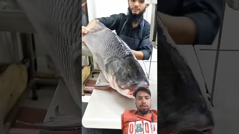 #fish #fishcutting #fishing #food #cooking #funny #fillet #seafood #bbqmeat #seafoodrecipes