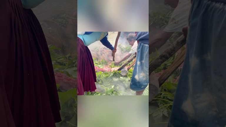 Turun-temurun resep lokal masak babi dari Papua #papua #bakarbatu #babi