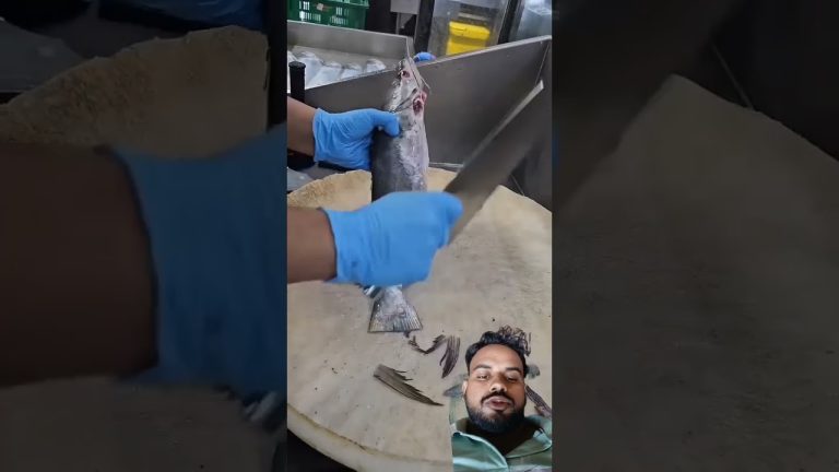 #fish #fishing #seafood #fishcutting #cooking #fillet #sushilife #food #fhiscurry #seafoodrecipes