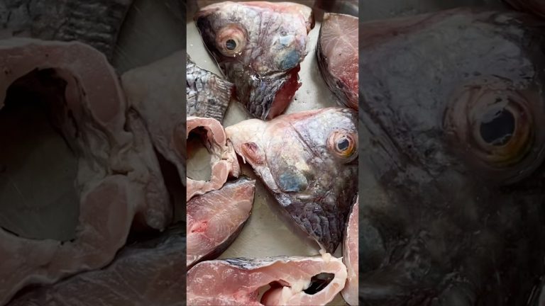 Chilapi fish curry | #shorts #trending #fhiscurry #seafoodrecipes #marathisong #seafood #fishing