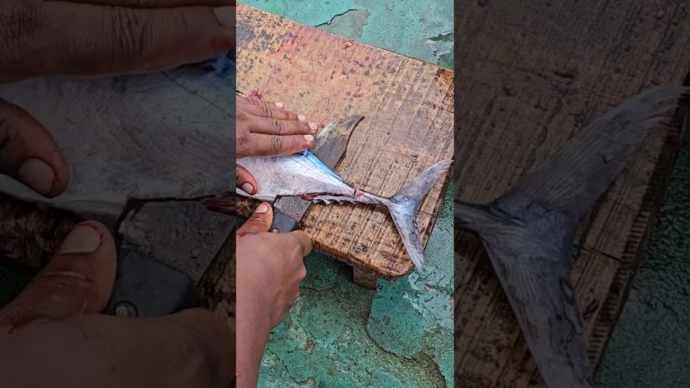 Another Recipe “TUNA CHUKKA” ‼️😋 Worst Recipe #food #tuna #shortsviral #seafood #fishing #spicyfish