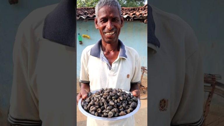 Snail 🐌 Meat Curry recipe||घोंघी मांस करी||#Shorts #minivlog  #streetfood #Snailmeat #cooking