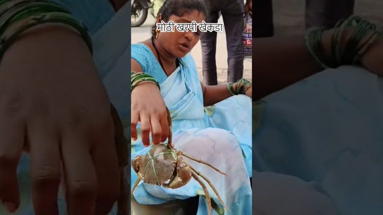 मोठा खरपी चिंबोरा #आगरी_कोळी_संस्कृती #fishing #rivercrab #seafood #seafoodrecipes #fish #मासेमारी