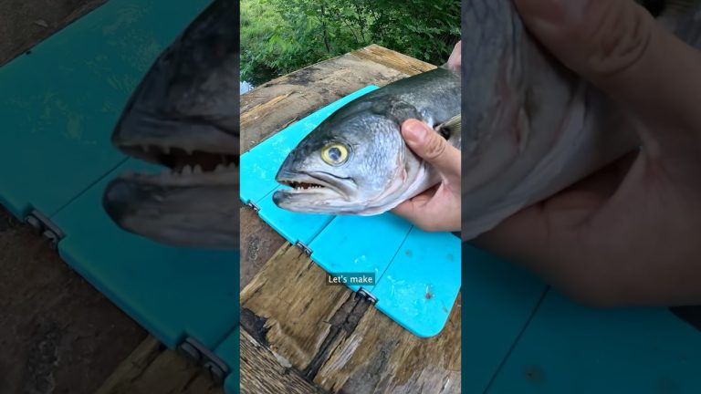 You Have to Bleed this Fish #shorts #fishing