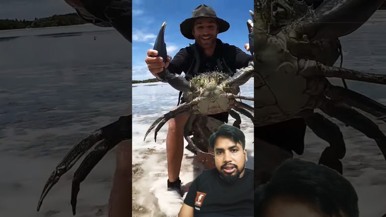 #fishing #fish #fillet #seafood #bbqmeat #food #meatmarket #seafoods #bbqfoodbeefusa #seafoodrecipes