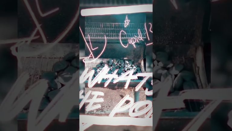 BBQ I love our Hobbie#bbq #webergrills #offsetsmoker #traegergrills