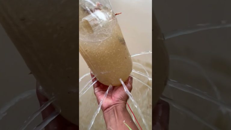 #fishing #primitiveplus #seafood #fish #seafoodrecipes #fishingequipment #carpfishing #seafoods