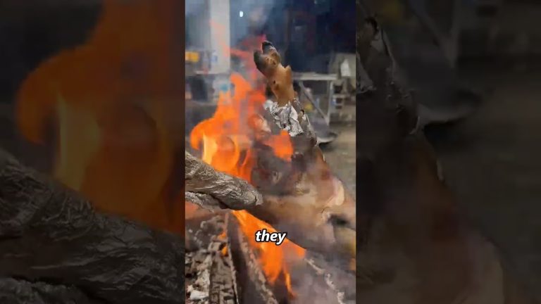 #facts #plantsofindia #seafood #funny #fish #memes #seafoods #motivation #seafoodrecipes #food