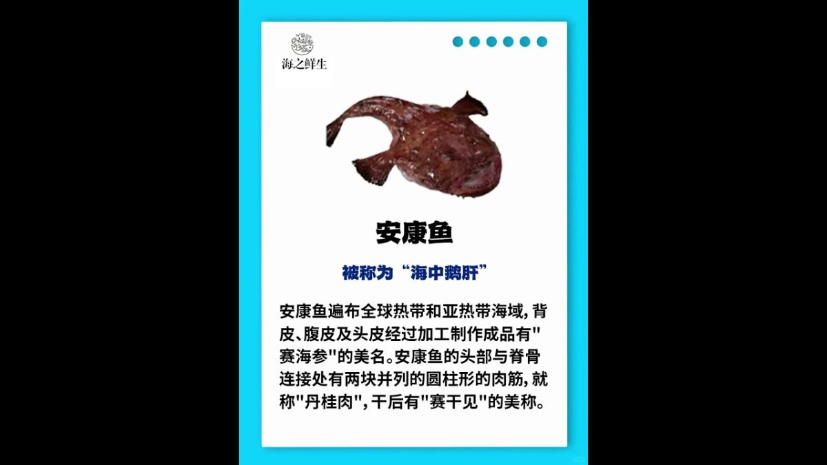 种奇怪海鲜大揭 #海鲜水产 #海鲜 #美食 #seafoodrecipes #chinaseafood #seafood