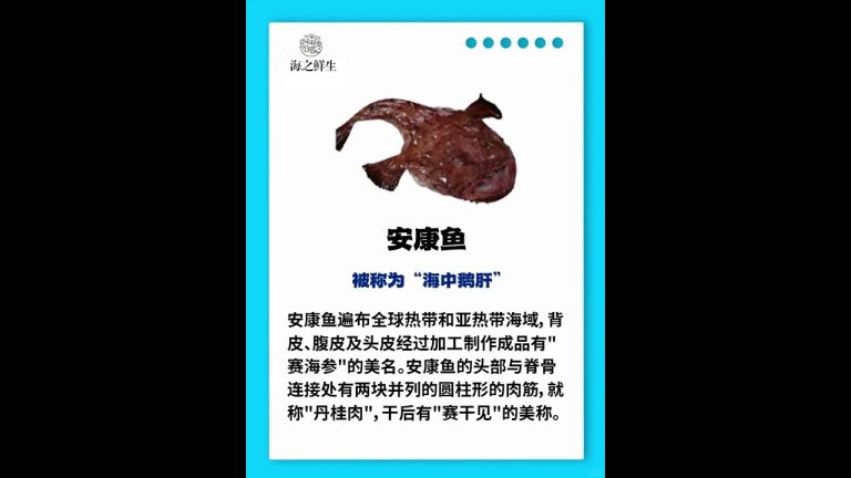 种奇怪海鲜大揭 #海鲜水产 #海鲜 #美食 #seafoodrecipes #chinaseafood  #seafood