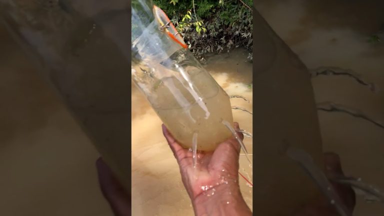 #fishing #primitiveplus #seafood #fish #seafoodrecipes #fishingequipment #carpfishing #seafoods