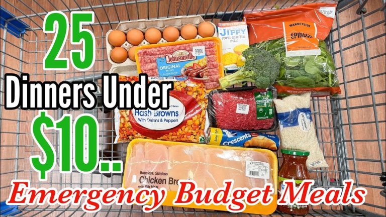 25 EMERGENCY BUDGET MEALS UNDER $10 | Quick & EASY Cheap Dinner Ideas | Julia Pacheco