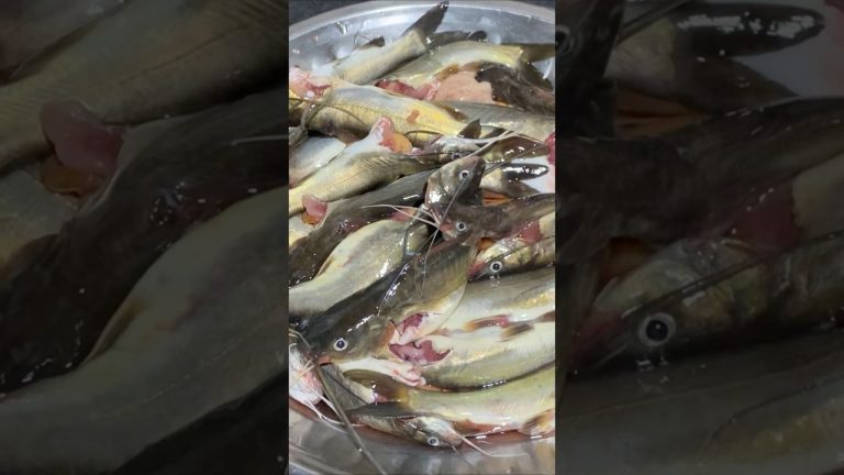 Chivni fish curry / #shorts #fhiscurry #fishrecipes #food #trending #cooking #seafoodrecipes