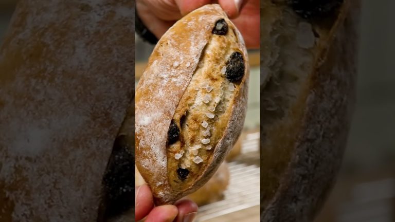 50+ Bread recipes for you