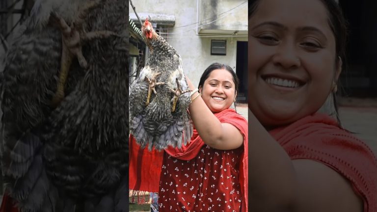 Deshi Murgir Jhol #chicken #chickenrecipe #food #villagecooking #chickencurry #recipe