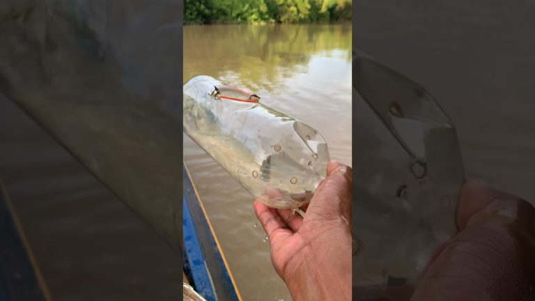 #fishing #primitiveplus #seafood #creativesurvival #fish #experiment #seafoodrecipes #fishinglife