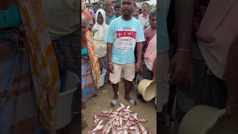 ￼￼ സൂപ്പർ # ഫ്രഷ് #viralvideos #, നവരെ # മീൻ ￼￼#seafoodrecipes #seafoodrecipes #travel #garden #🐠