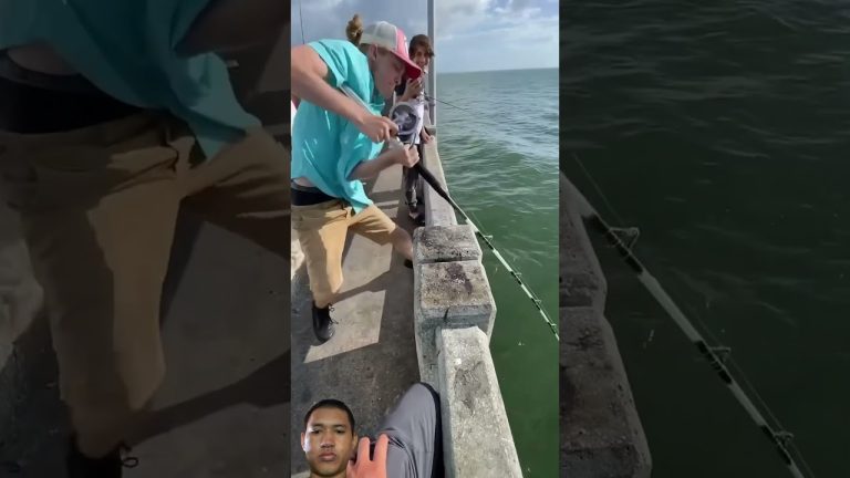 #fishing #fish #bassfishing #divng #seafood #finwhale #automobile #deepblue #seafoodrecipes