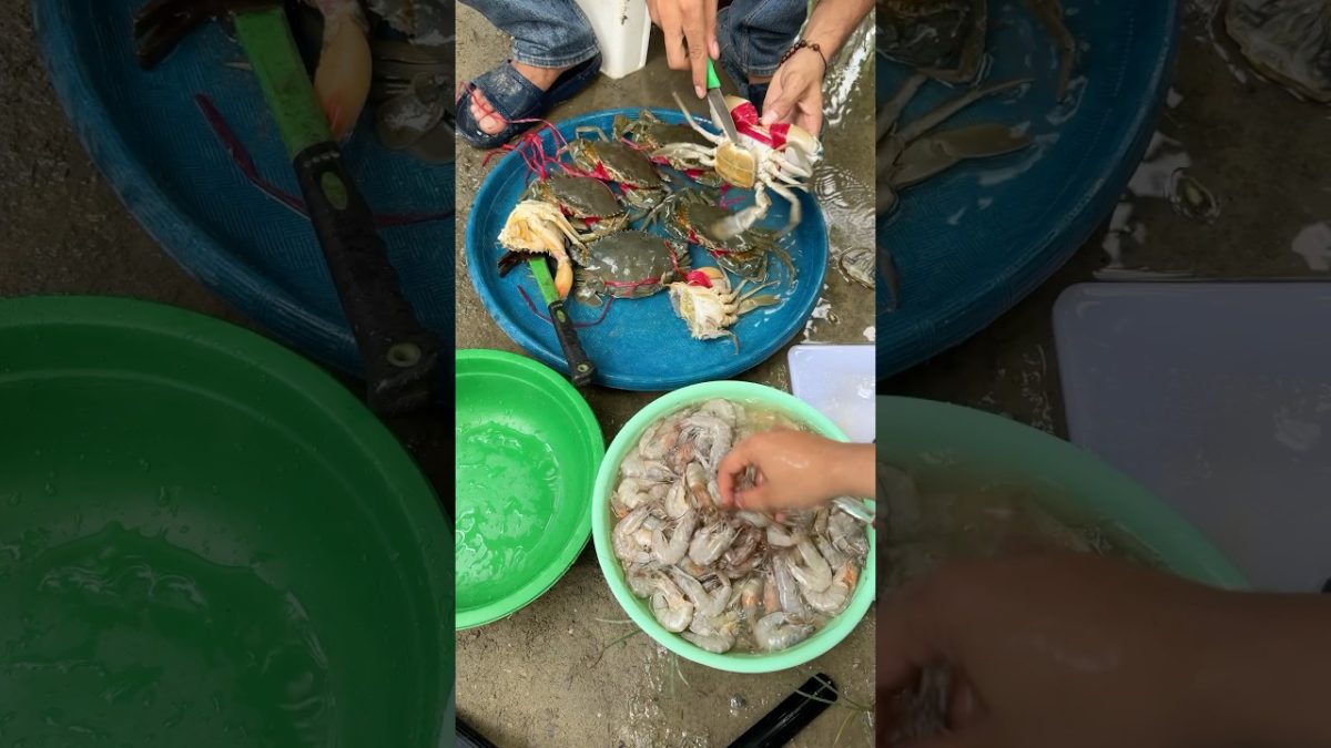 Kepiting berserak