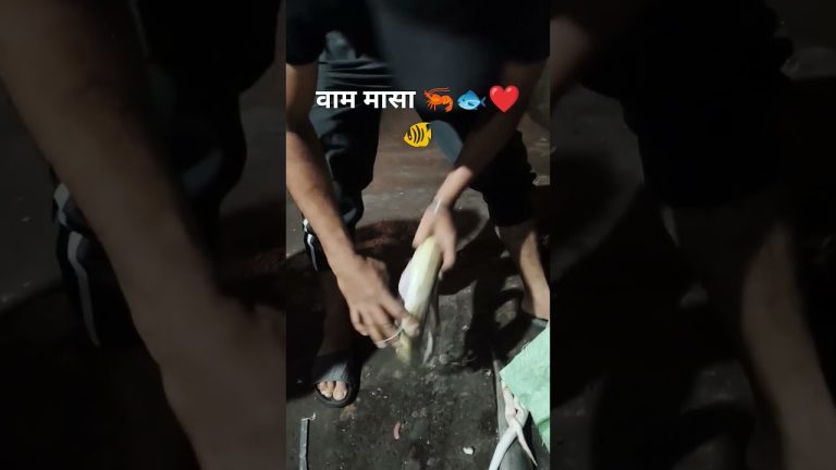 #streetfood #foodlifemarathi #seafood #fish #food #seafoodrecipes #seafoods #fishcatching. 🐠🦐🐟❤️