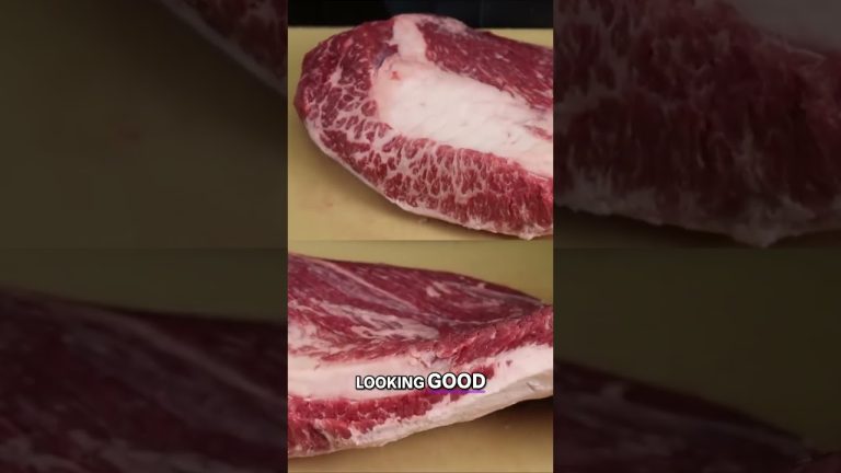 Overnight Pellet Smoker Brisket #bbq #smokegrill #steak #bbqmeat #barbecue #recipe #shorts #brisket