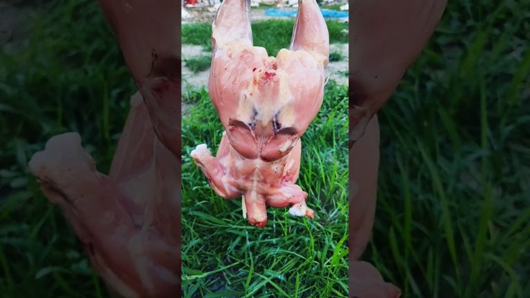 Whole roasted chicken recipe in nature #shorts #chicken