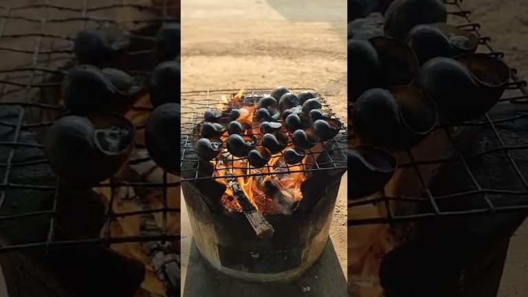 Snail Grilled #nature #cooking