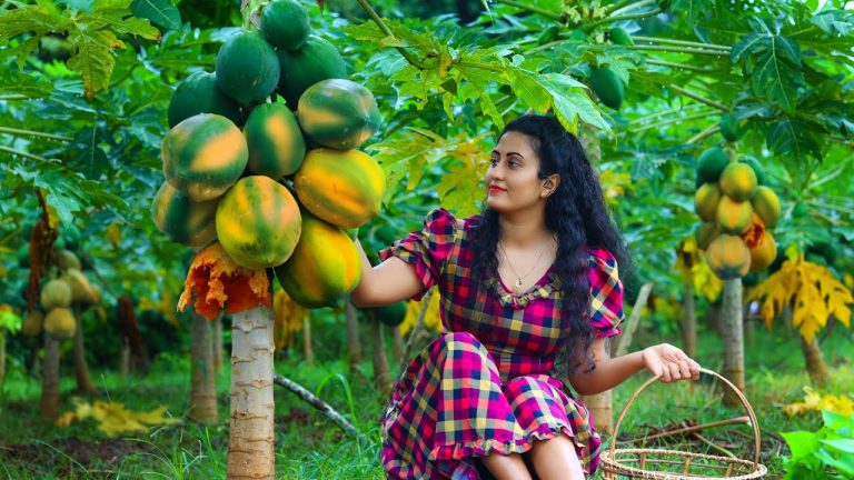 Papaya Recipes 🍑 Juices Sweets and Warm Desserts for Rainy Days in My Sri Lankan Village Kitchen