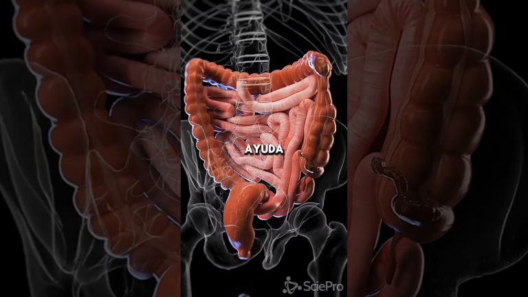 Limpia tu colon con este jugo natural 💚 #jugossaludables #recetassaludables #shorts #nutricion