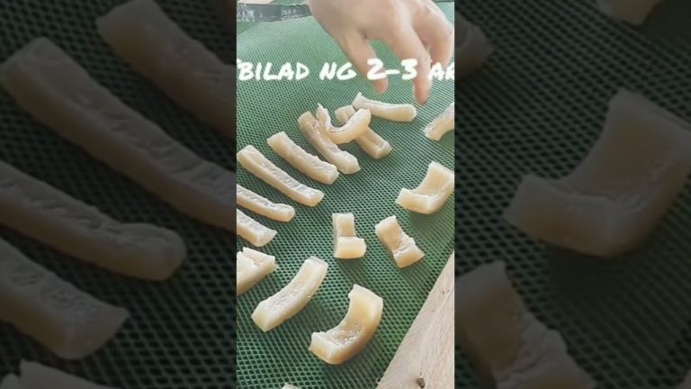 Home made Pork Skin Chicharon in 2 minutes | Pork cracklings