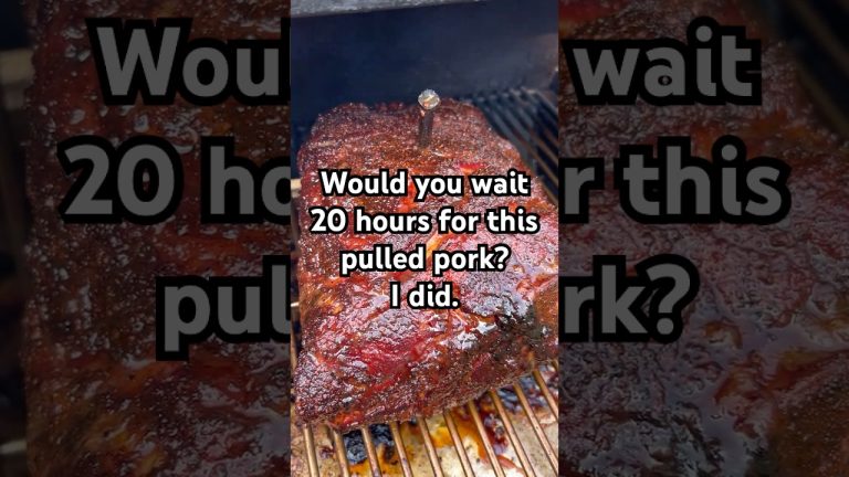 Would You Wait 20 Hours for This Pulled Pork? I Did. #bbq #PulledPork #recipe #lowandslow #shorts
