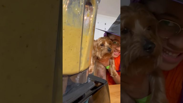 Pumpkin Smoothie 🎃 Recipe | Kids Cooking Show #kidscookingrecipes #recipeshorts