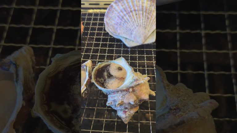 海鮮BBQ #黒潮市場 #ポルトヨーロッパ #バーベキュー #アウトドアグルメ