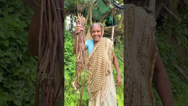 Grandma’s Hidden Recipe with Taro Stems | Authentic Village Cooking #shorts #cooking #recipe