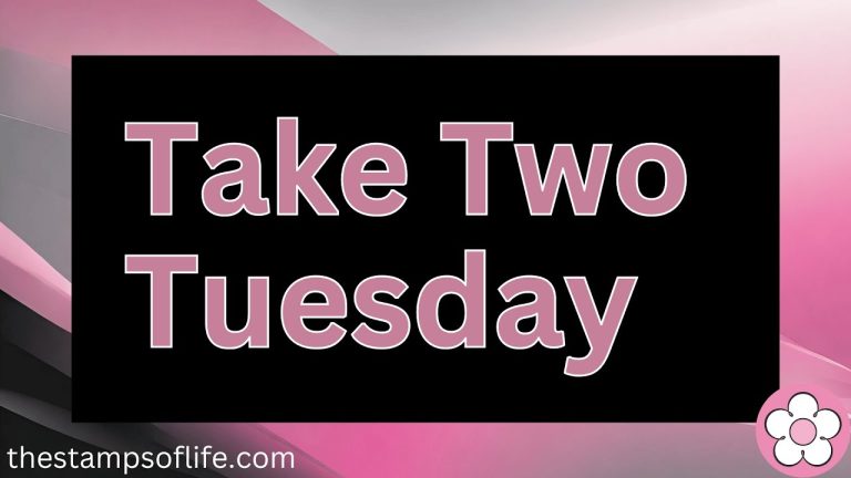 Take Two Tuesday Episode #79 Cookin With BBQ Fun!
