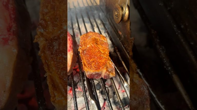 🔥🥩✨ Searious