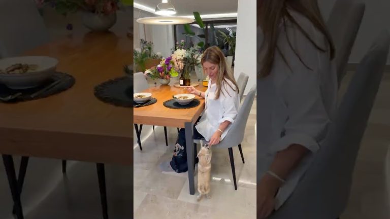 Chinese soup with pork roll🍲 #asianfood #pork #soup #souprecipe #gourmetcooking