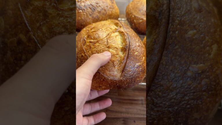 Shaping Sourdough Bread #shorts