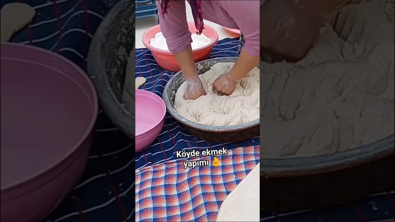 Köyde ekmek yapımı 🍞 #köydehayat #yemektarifleri #temizlikvlog#animals #köy #kitten #cute #food#doğa