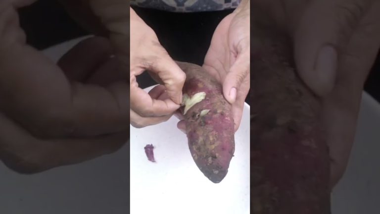 Sweet Potato Gulab Jamun Recipe 😍 | Healthy Twist to Classic Dessert! #shorts