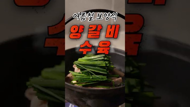 집에서도 즐길수있는 고단백 보양식