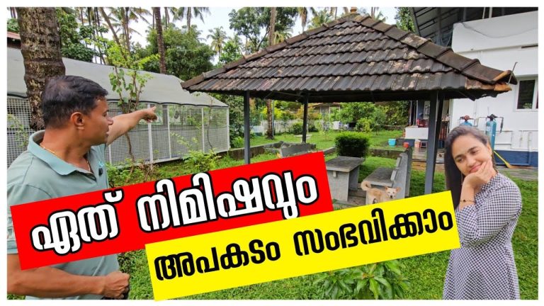 അപകടാവസ്ഥയിൽ /Family vlog /Village cooking /Kerala traditional life /Healthy porridge recipe