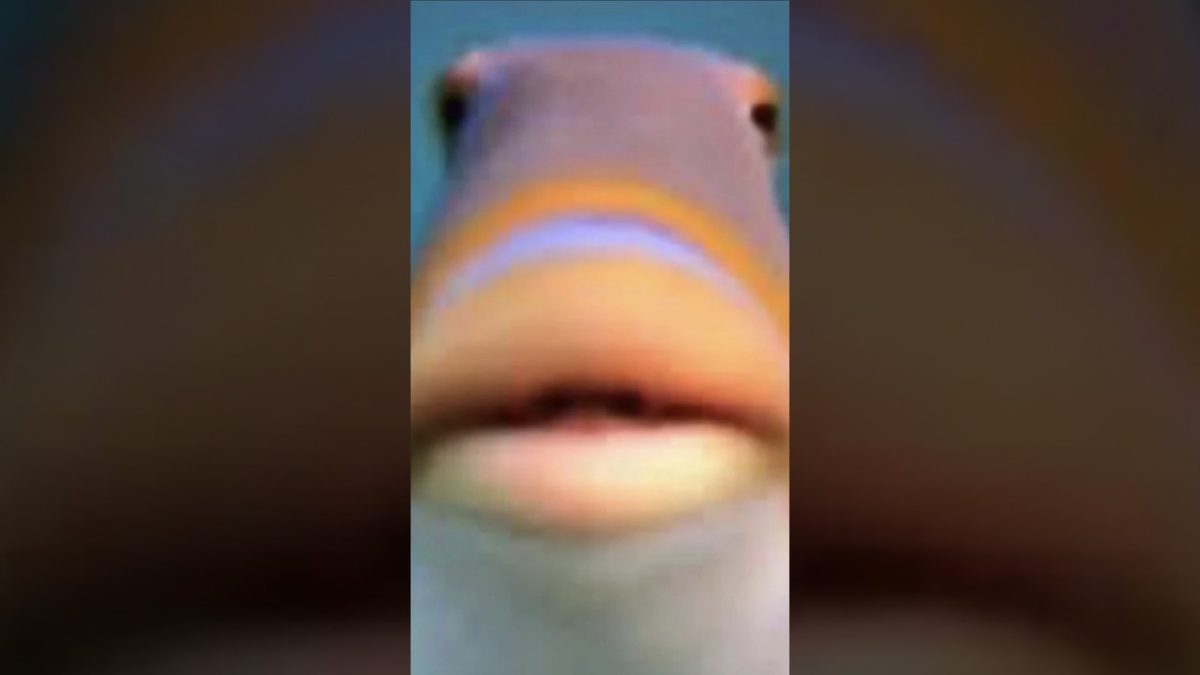 Bean shows how to pasta the RIGHT way! #pasta