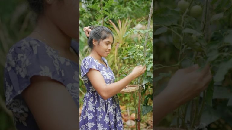 I make Beef Pasta with home made tomatos and chillis